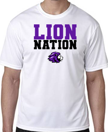 Dri fit sales graphic shirts